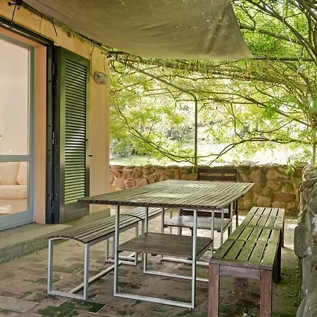 Glicine Garden Dream Ostra
