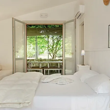 Glicine Garden Dream * Ostra