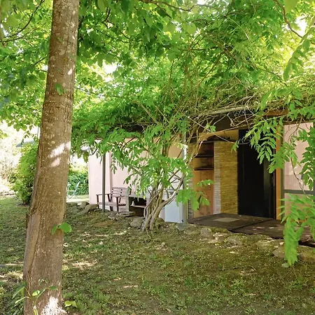 Glicine Garden Dream Ostra