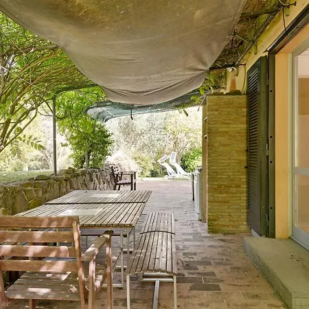 Glicine Garden Dream * Ostra